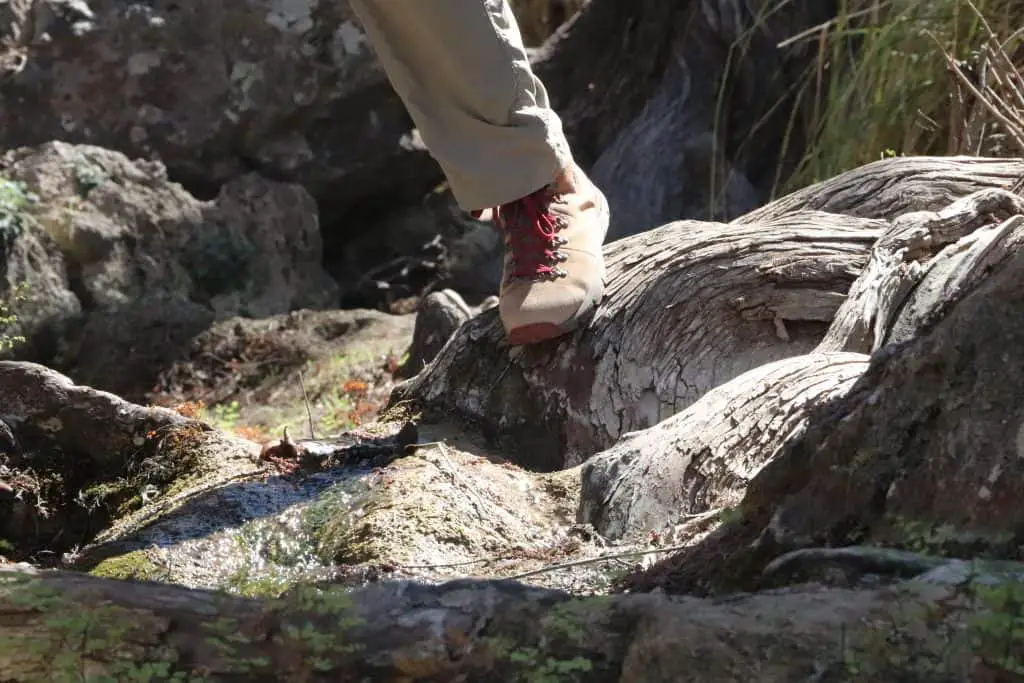 Can You Hike in Normal Shoes? What to AVOID! – Dusty Hikers