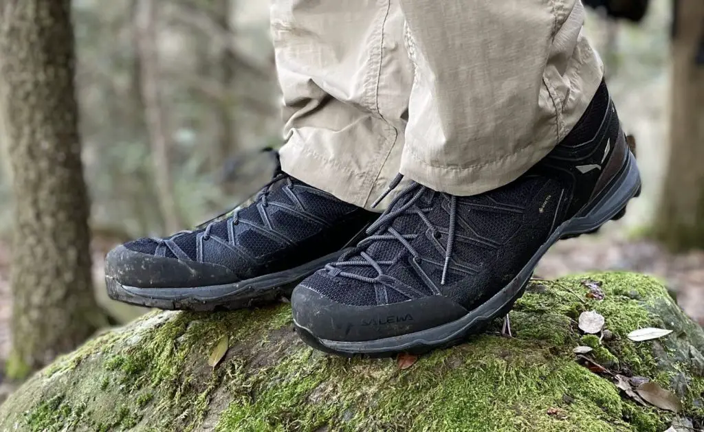 Best Hiking Shoes of 2023 (Field-Tested) – Dusty Hikers